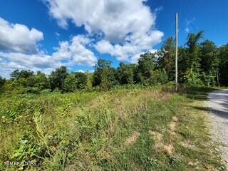 Tiny photo for 1434 Tomahawk Rd, Jamestown, TN 38556 (MLS # 1356028)