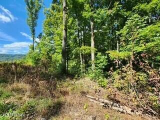 Tiny photo for 1434 Tomahawk Rd, Jamestown, TN 38556 (MLS # 1356028)