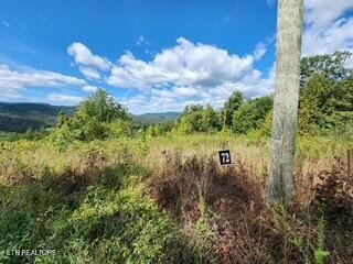 Tiny photo for 1434 Tomahawk Rd, Jamestown, TN 38556 (MLS # 1356028)