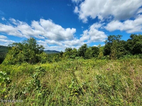Tiny photo for 1434 Tomahawk Rd, Jamestown, TN 38556 (MLS # 1356028)