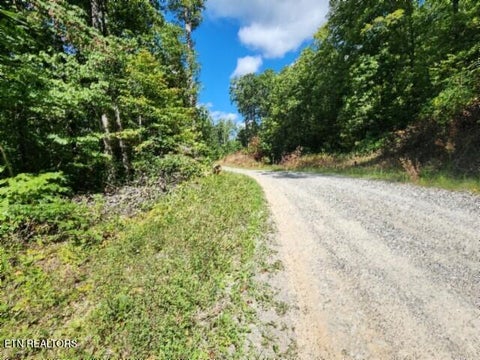 Tiny photo for 1434 Tomahawk Rd, Jamestown, TN 38556 (MLS # 1356028)