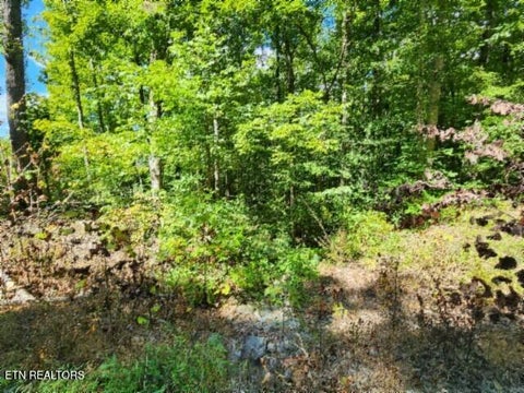 Tiny photo for 1434 Tomahawk Rd, Jamestown, TN 38556 (MLS # 1356028)