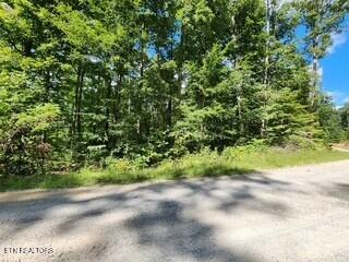 Tiny photo for 1434 Tomahawk Rd, Jamestown, TN 38556 (MLS # 1356028)