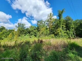 Tiny photo for 1434 Tomahawk Rd, Jamestown, TN 38556 (MLS # 1356028)