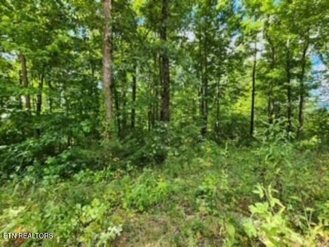 Tiny photo for 1434 Tomahawk Rd, Jamestown, TN 38556 (MLS # 1356028)