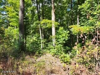Tiny photo for 1434 Tomahawk Rd, Jamestown, TN 38556 (MLS # 1356028)