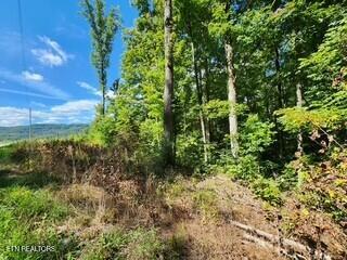 Tiny photo for 1434 Tomahawk Rd, Jamestown, TN 38556 (MLS # 1356028)