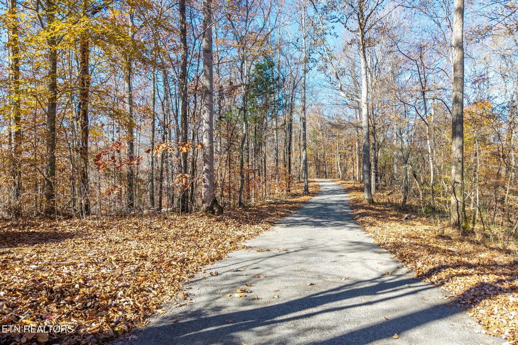 Photo of 2489 AC Red Bud Ln, Hilham, TN 38568 (MLS # 1323233)