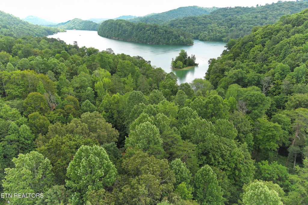 Photo of 119 Laurel Wood Rd, Tazewell, TN 37879 (MLS # 1307441)