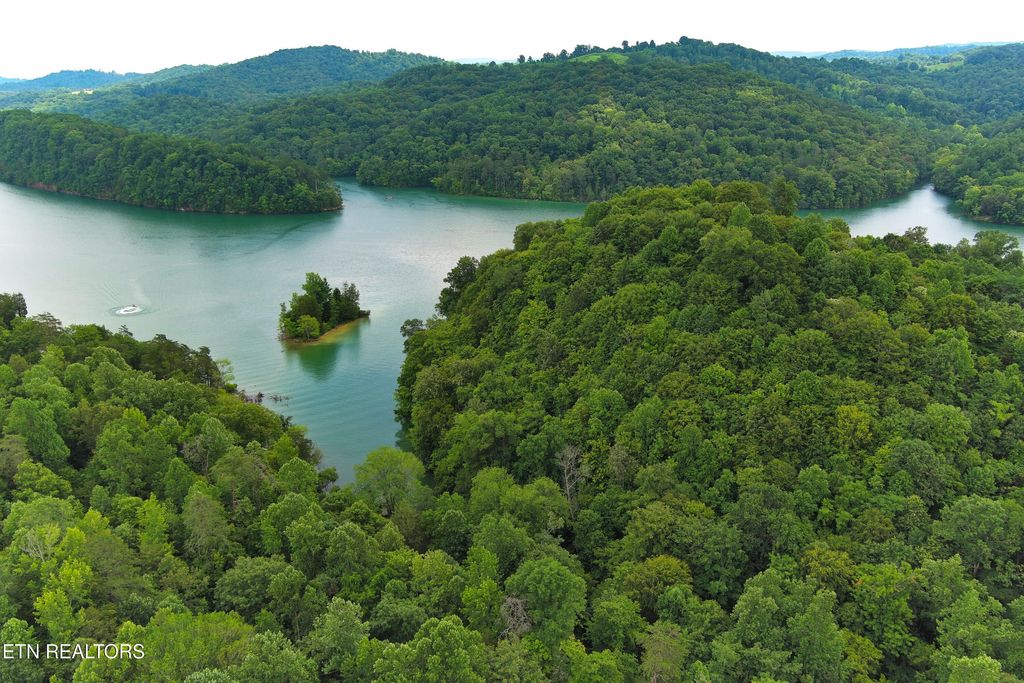 Photo of 119 Laurel Wood Rd, Tazewell, TN 37879 (MLS # 1307441)