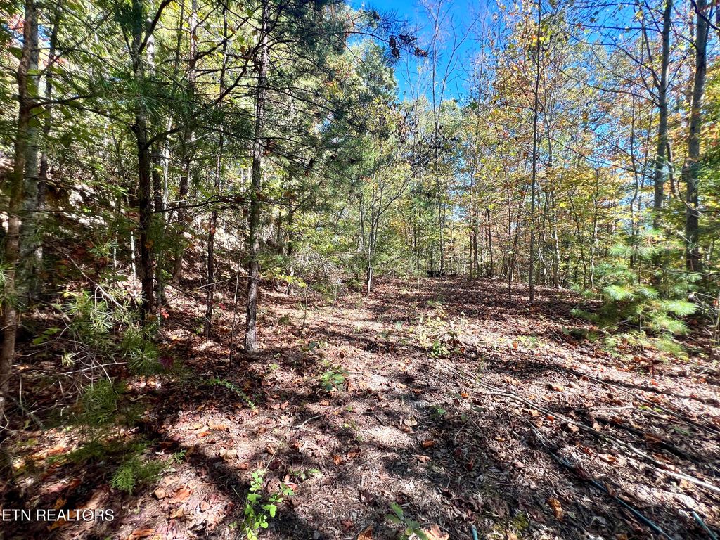 Photo of 1844 Creek Hollow Way Way, Sevierville, TN 37876 (MLS # 1320086)