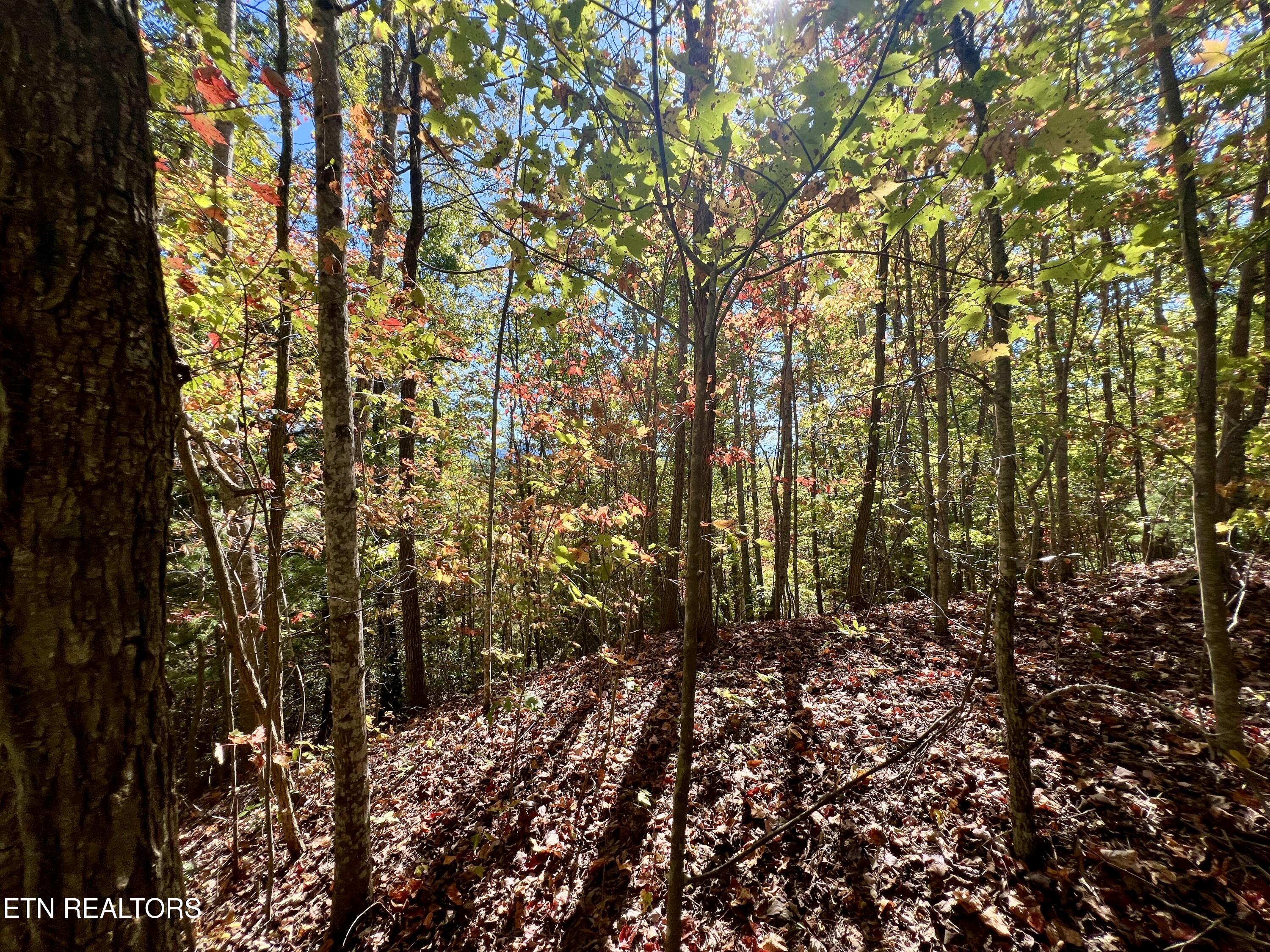 1844 Creek Hollow Way Way