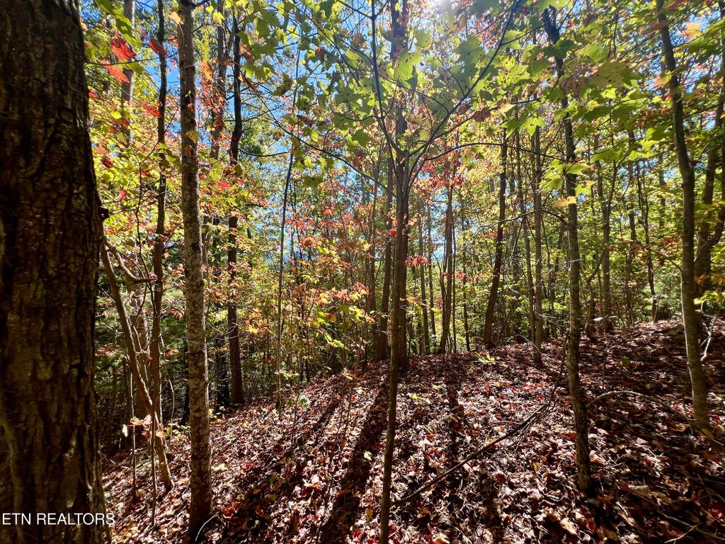 Photo of 1844 Creek Hollow Way Way, Sevierville, TN 37876 (MLS # 1320086)