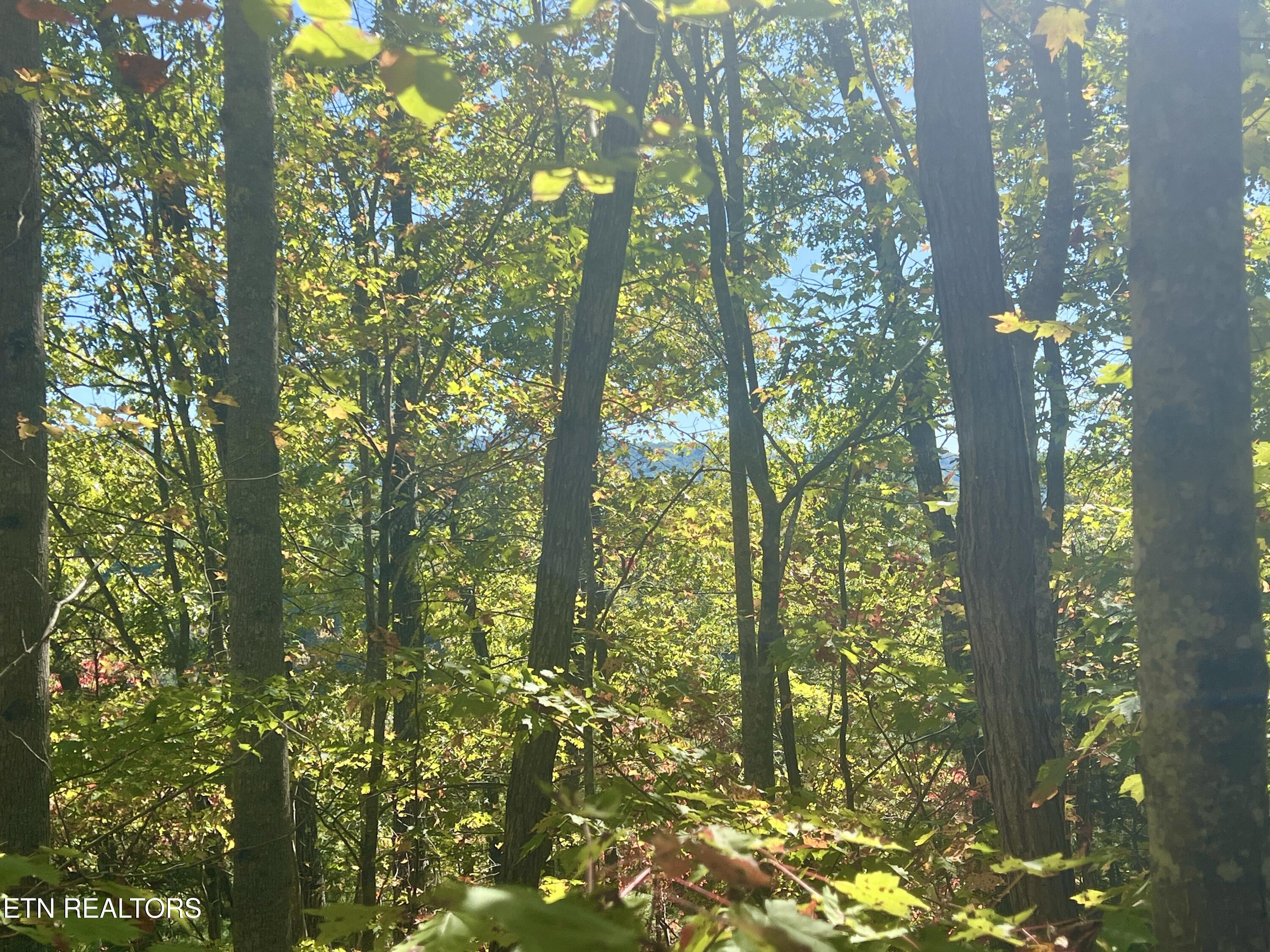 1844 Creek Hollow Way Way