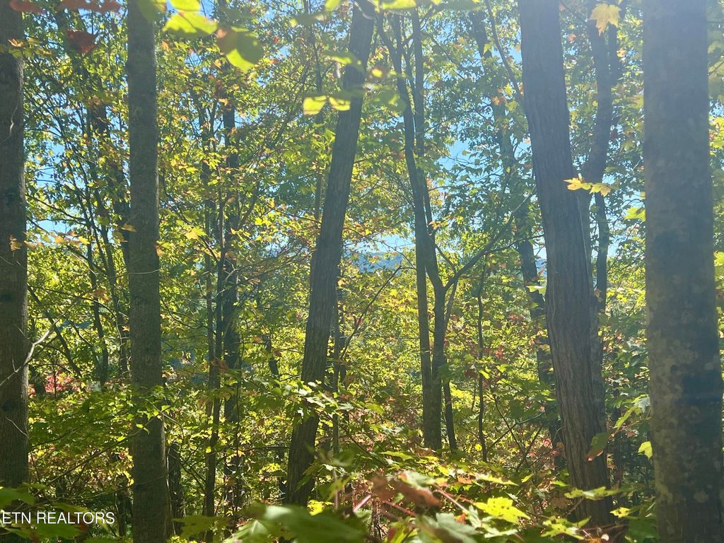 Photo of 1844 Creek Hollow Way Way, Sevierville, TN 37876 (MLS # 1320086)