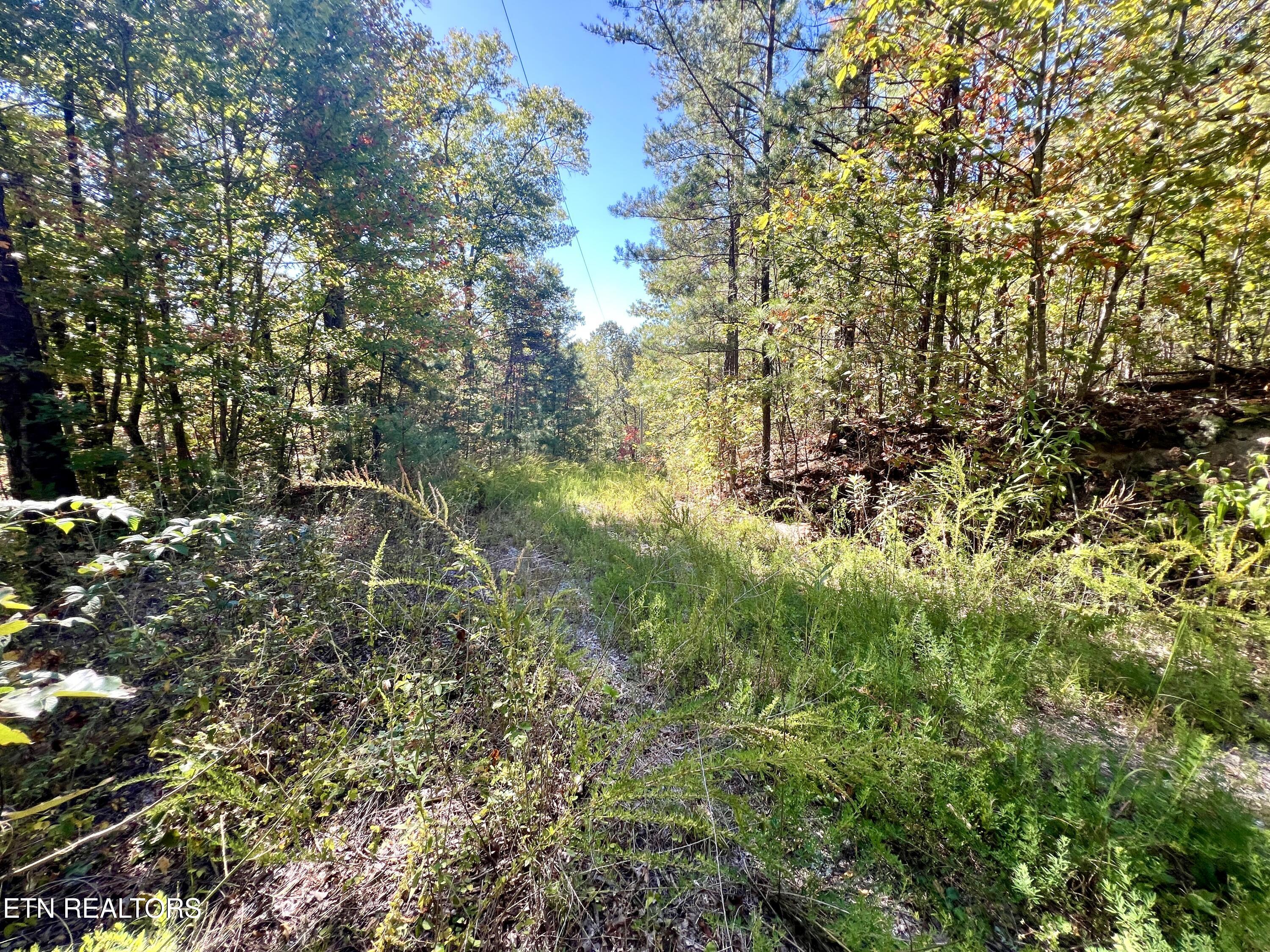 1844 Creek Hollow Way Way