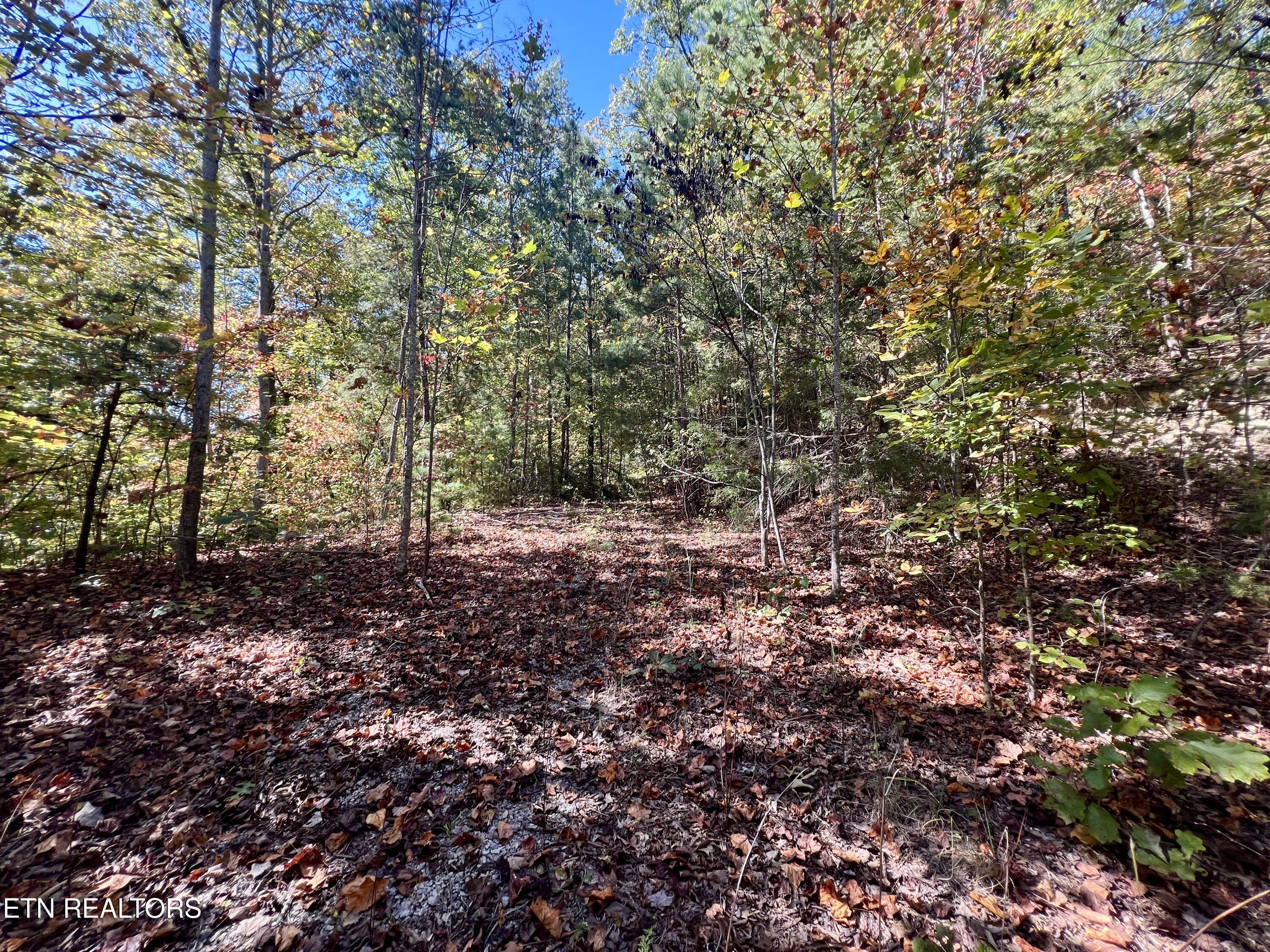 1844 Creek Hollow Way Way