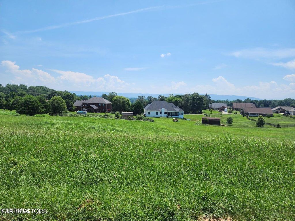 Photo of 1170 Houston Springs Rd, Greenback, TN 37742 (MLS # 1255552)