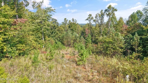 Tiny photo for 675 Travellers Way, Lenoir City, TN 37771 (MLS # 1360000)