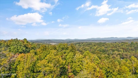 Tiny photo for 675 Travellers Way, Lenoir City, TN 37771 (MLS # 1360000)