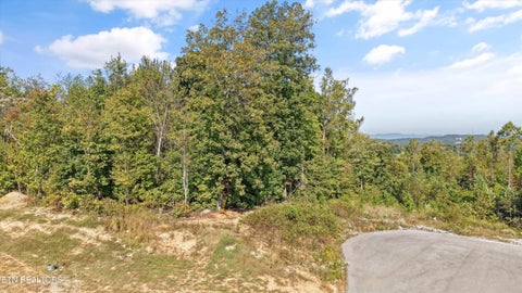 Tiny photo for 675 Travellers Way, Lenoir City, TN 37771 (MLS # 1360000)