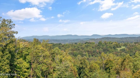 Tiny photo for 675 Travellers Way, Lenoir City, TN 37771 (MLS # 1360000)