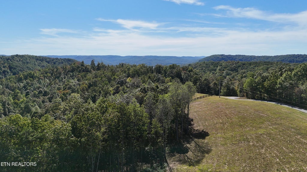 Photo of 277 Burnt Tree Lane, Crawford, TN 38554 (MLS # 1356980)