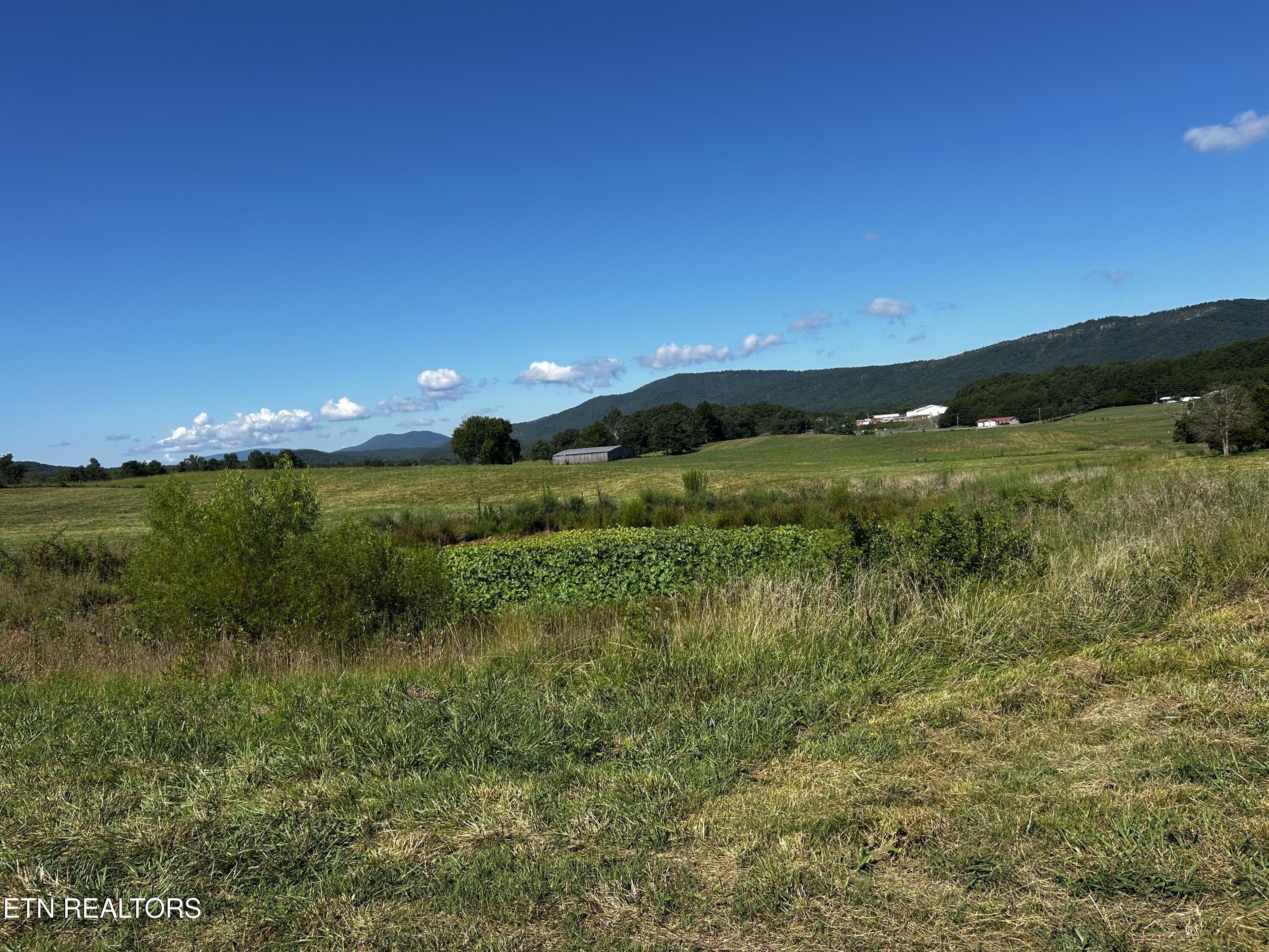 Lot 8 Old Mill Rd