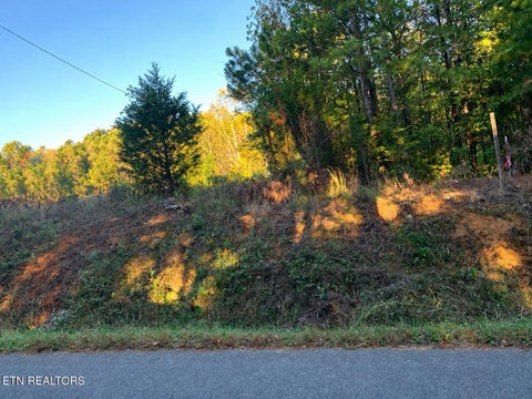 Tiny photo for County Road 754, Riceville, TN 37370 (MLS # 1359767)
