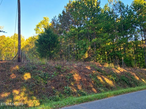 Photo of County Road 754, Riceville, TN 37370 (MLS # 1359767)