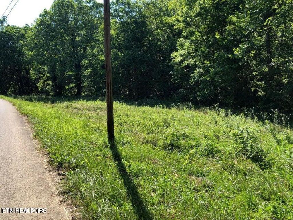 Photo of TBD Jackson Hollow Rd, Thorn Hill, TN 37881 (MLS # 1278349)
