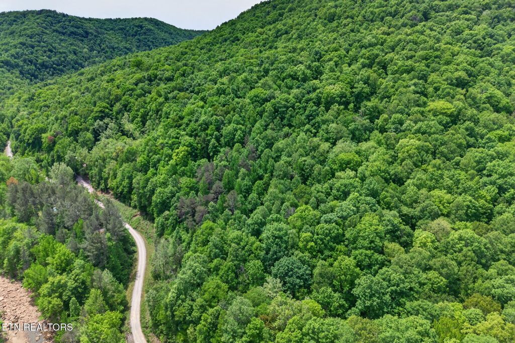 Photo of 1041 E Obey Lane, Wilder, TN 38589 (MLS # 1340136)