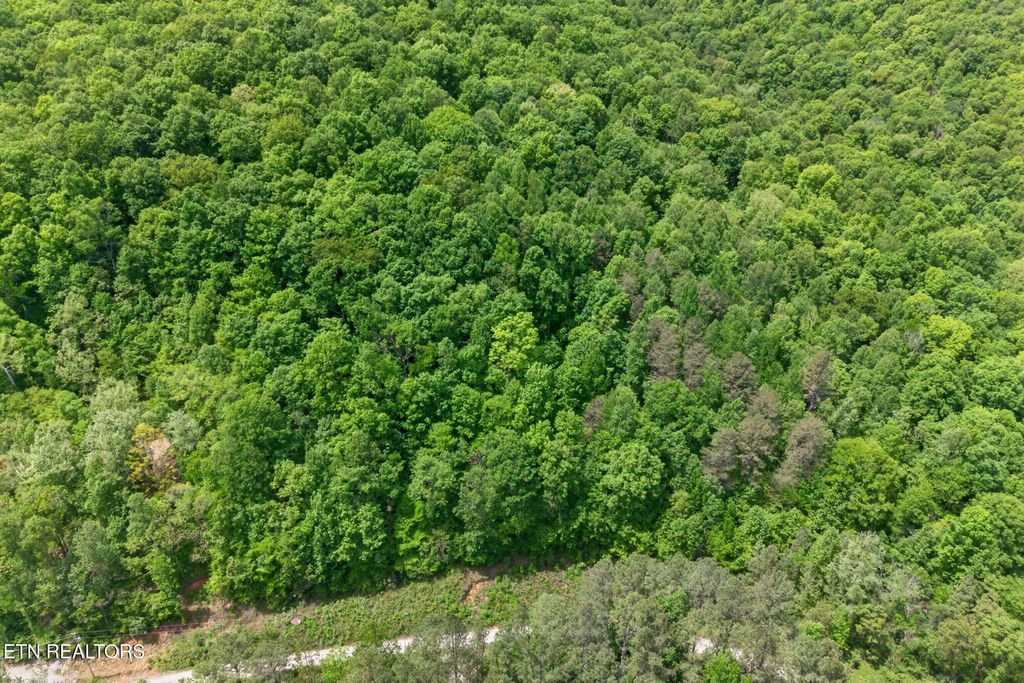 Photo of 1041 E Obey Lane, Wilder, TN 38589 (MLS # 1340136)