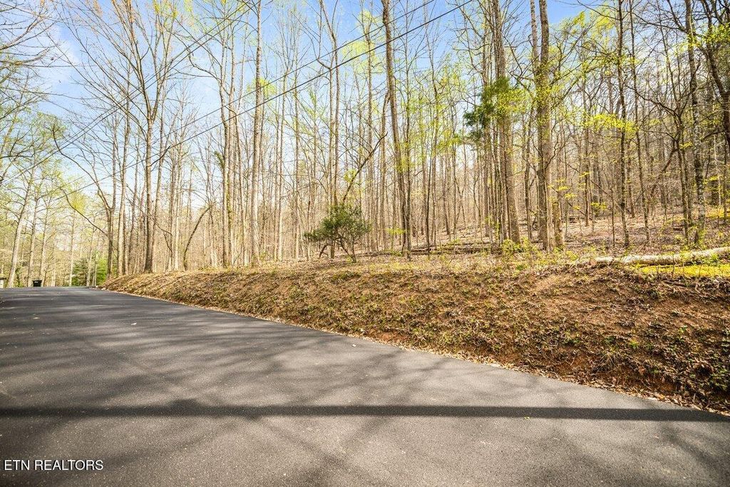 Photo of Sequoyah Lot 93 Rd, Andersonville, TN 37705 (MLS # 1335607)