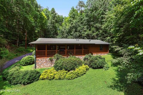 1150 Ogle Hills Rd Gatlinburg TN 37738