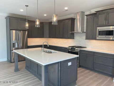 Tiny photo for 375 Trillium Tr, Lenoir City, TN 37771 (MLS # 1356151)