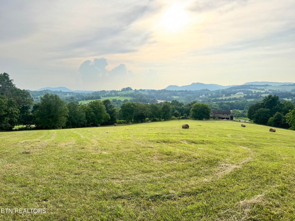 Photo of Collins Rd, Blaine, TN 37709 (MLS # 1306078)