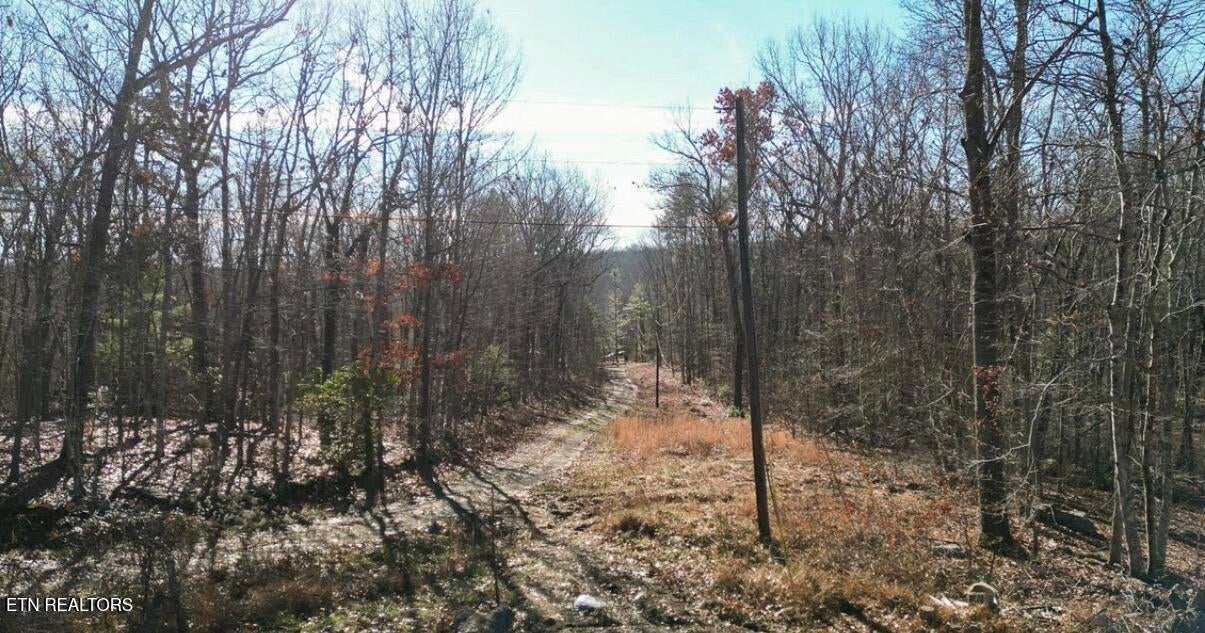 65 Log Rd 1024 Dr