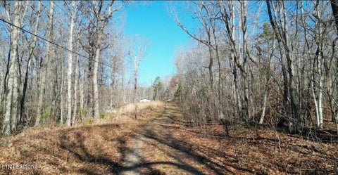 Photo of 65 Log Rd #1024 Dr, Spring City, TN 37381 (MLS # 1358640)