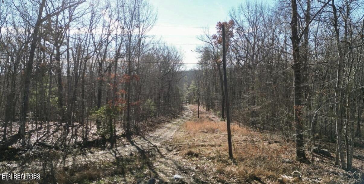 65 Log Rd 1024 Dr