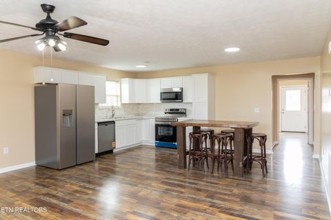 Tiny photo for 629 English Meadows Drive, White Pine, TN 37890 (MLS # 1332850)