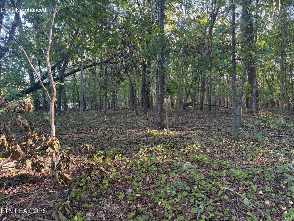 Photo of 134 County Road 212, Athens, TN 37303 (MLS # 1357930)