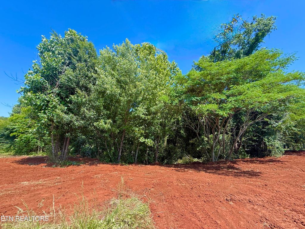 Photo of 305 Oakwood Estates Drive, Lenoir City, TN 37772 (MLS # 1341510)