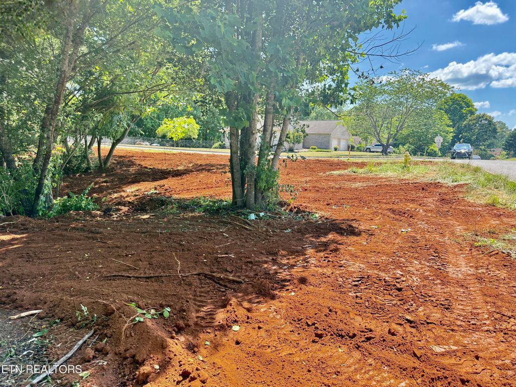 Photo of 305 Oakwood Estates Drive, Lenoir City, TN 37772 (MLS # 1341510)