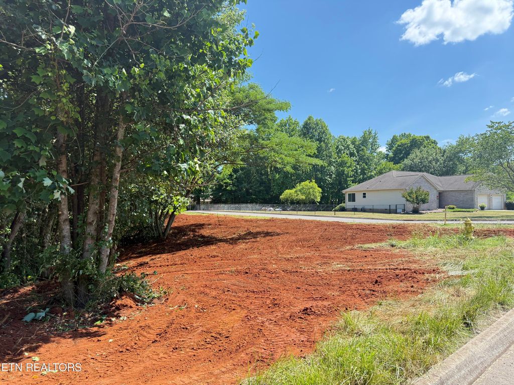 Photo of 305 Oakwood Estates Drive, Lenoir City, TN 37772 (MLS # 1341510)