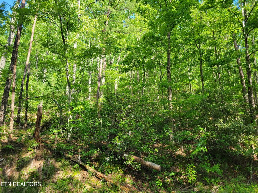 Photo of 27 Black Oak Drive, Sevierville, TN 37876 (MLS # 1302307)