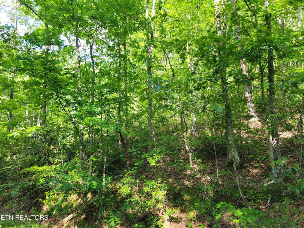 Photo of 27 Black Oak Drive, Sevierville, TN 37876 (MLS # 1302307)