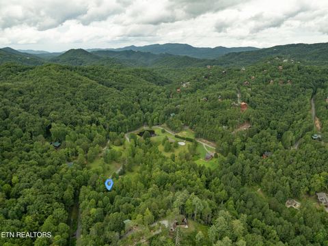 Tiny photo for 3905 Fern Brook Way Way, Sevierville, TN 37862 (MLS # 1340617)