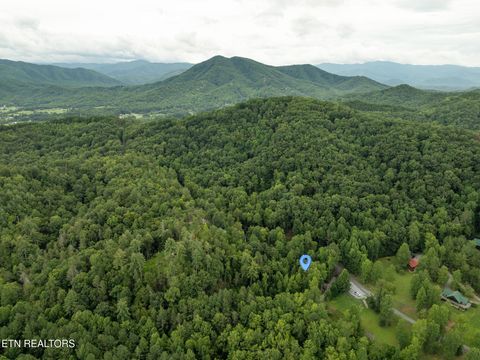 Tiny photo for 3905 Fern Brook Way Way, Sevierville, TN 37862 (MLS # 1340617)
