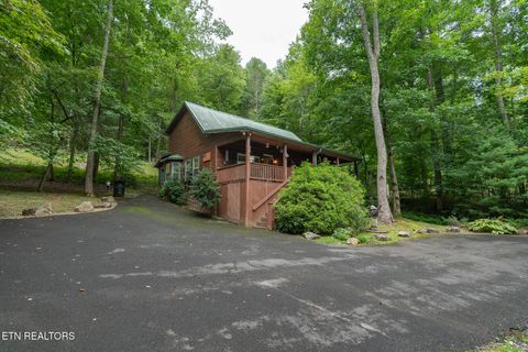 Tiny photo for 3905 Fern Brook Way Way, Sevierville, TN 37862 (MLS # 1340617)